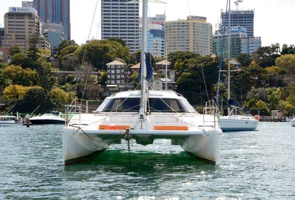 delphinus-sydney-harbour_1