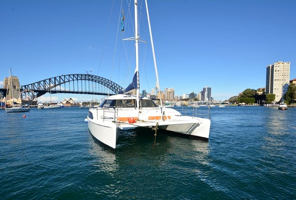 delphinus-passing-by-sydney-harbour_1